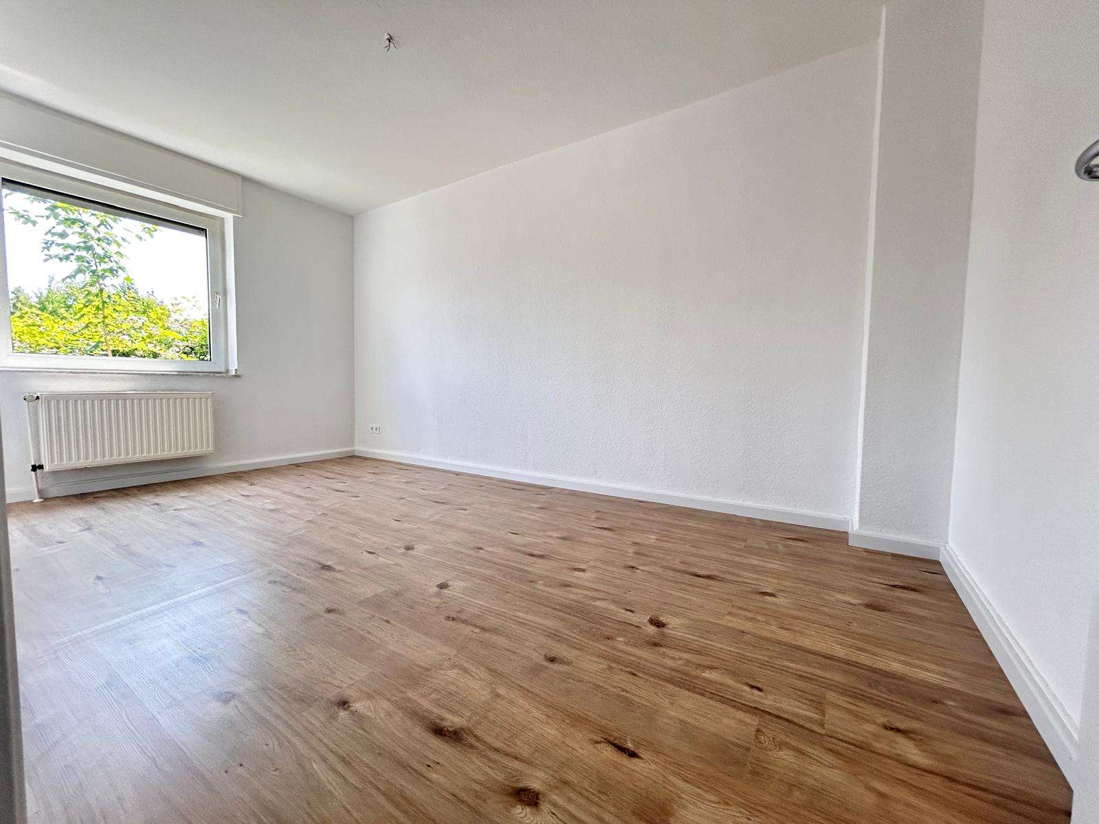 Zimmer III
